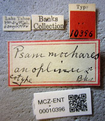 Media type: image;   Entomology 10396 Aspect: labels